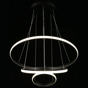 Подвесной светильник Aployt Janina APL.018.03.60 в Заводоуковске - zavodoukovsk.mebel24.online | фото 7