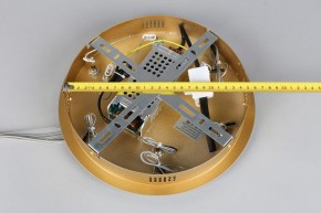 Подвесной светильник Aployt Janina APL.018.13.60 в Заводоуковске - zavodoukovsk.mebel24.online | фото 11