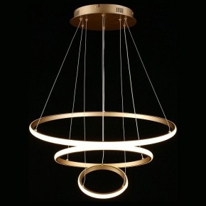 Подвесной светильник Aployt Janina APL.018.13.60 в Заводоуковске - zavodoukovsk.mebel24.online | фото 4