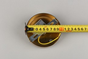 Подвесной светильник Aployt Lora APL.728.06.01 в Заводоуковске - zavodoukovsk.mebel24.online | фото 8