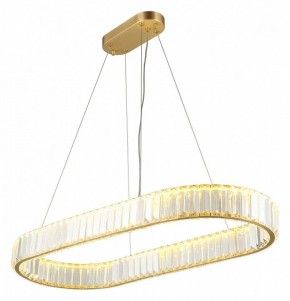 Подвесной светильник Aployt Nicoletta APL.026.03.70 в Заводоуковске - zavodoukovsk.mebel24.online | фото 10