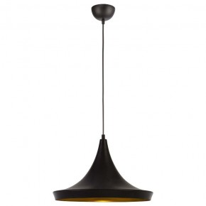 Подвесной светильник Arte Lamp Capello A3406SP-1BK в Заводоуковске - zavodoukovsk.mebel24.online | фото 2