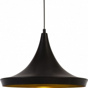 Подвесной светильник Arte Lamp Capello A3406SP-1BK в Заводоуковске - zavodoukovsk.mebel24.online | фото 3