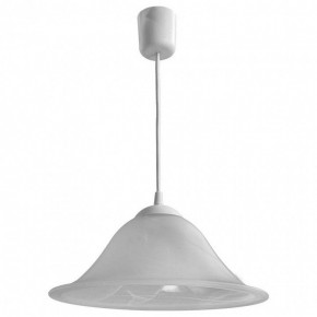 Подвесной светильник Arte Lamp Cucina A6430SP-1WH в Заводоуковске - zavodoukovsk.mebel24.online | фото 2