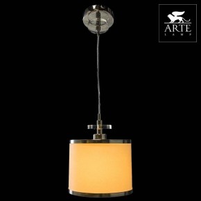 Подвесной светильник Arte Lamp Furore A3990SP-1CC в Заводоуковске - zavodoukovsk.mebel24.online | фото 3