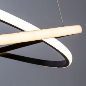 Подвесной светильник Arte Lamp Swing A2522SP-2BK в Заводоуковске - zavodoukovsk.mebel24.online | фото 2