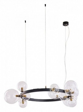 Подвесной светильник Arte Lamp Vincent A7790SP-15BK в Заводоуковске - zavodoukovsk.mebel24.online | фото 2