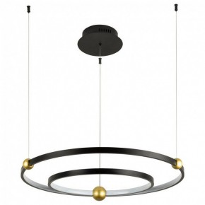Подвесной светильник Divinare Amadeo 1123/04 SP-65 в Заводоуковске - zavodoukovsk.mebel24.online | фото