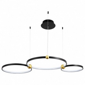 Подвесной светильник Divinare Amadeo 1123/04 SP-75 в Заводоуковске - zavodoukovsk.mebel24.online | фото