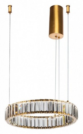 Подвесной светильник Divinare Renata 1135/17 SP-25 в Заводоуковске - zavodoukovsk.mebel24.online | фото 2