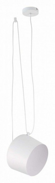 Подвесной светильник EVOLUCE Trieste SLE120653-01 в Заводоуковске - zavodoukovsk.mebel24.online | фото 2