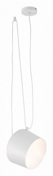 Подвесной светильник EVOLUCE Trieste SLE120653-01 в Заводоуковске - zavodoukovsk.mebel24.online | фото 3