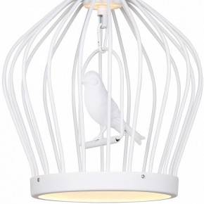 Подвесной светильник Favourite Chick 1931-2P в Заводоуковске - zavodoukovsk.mebel24.online | фото 3