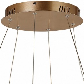 Подвесной светильник Favourite Hexagon 2103-14P в Заводоуковске - zavodoukovsk.mebel24.online | фото 5