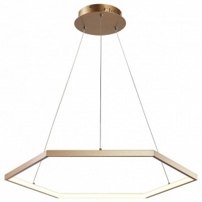 Подвесной светильник Favourite Hexagon 2103-6P в Заводоуковске - zavodoukovsk.mebel24.online | фото 2