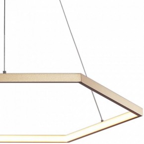 Подвесной светильник Favourite Hexagon 2103-6P в Заводоуковске - zavodoukovsk.mebel24.online | фото 3