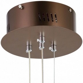 Подвесной светильник Favourite Saturn 2102-2P в Заводоуковске - zavodoukovsk.mebel24.online | фото 5