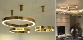 Подвесной светильник Imperiumloft Light Ring Horizontal 40.1454-60 в Заводоуковске - zavodoukovsk.mebel24.online | фото 2