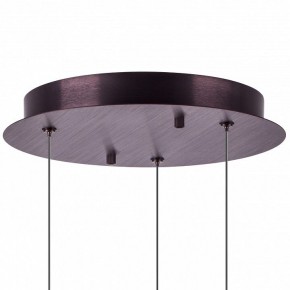 Подвесной светильник Lightstar Caramello 796139 в Заводоуковске - zavodoukovsk.mebel24.online | фото 13