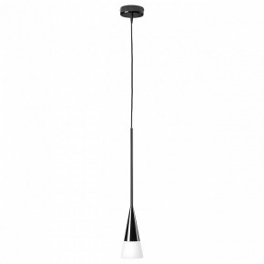 Подвесной светильник Lightstar Conicita 804117 в Заводоуковске - zavodoukovsk.mebel24.online | фото 2