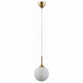Подвесной светильник Lightstar Globo 813022 в Заводоуковске - zavodoukovsk.mebel24.online | фото 2
