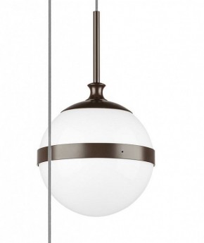 Подвесной светильник Lightstar Globo 813137 в Заводоуковске - zavodoukovsk.mebel24.online | фото 5