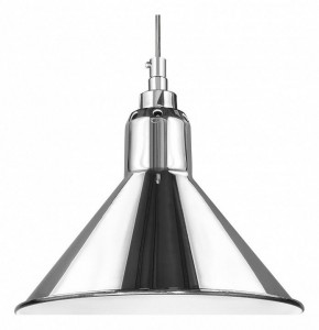 Подвесной светильник Lightstar Loft 765024 в Заводоуковске - zavodoukovsk.mebel24.online | фото 2