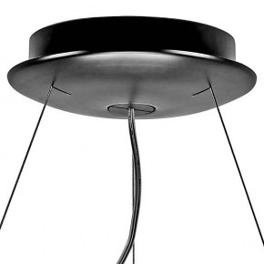 Подвесной светильник Lightstar Nibbler 812236 в Заводоуковске - zavodoukovsk.mebel24.online | фото 6