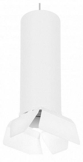Подвесной светильник Lightstar Rullo RP6496486 в Заводоуковске - zavodoukovsk.mebel24.online | фото 1