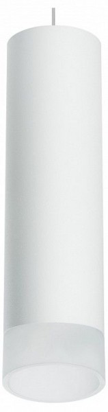 Подвесной светильник Lightstar Rullo RP649681 в Заводоуковске - zavodoukovsk.mebel24.online | фото 1