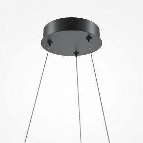 Подвесной светильник Maytoni Curve MOD241PL-L60BK в Заводоуковске - zavodoukovsk.mebel24.online | фото 6