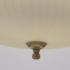 Подвесной светильник MW-Light Афродита 1 317010504 в Заводоуковске - zavodoukovsk.mebel24.online | фото 9
