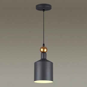 Подвесной светильник Odeon Light Bolli 4085/1 в Заводоуковске - zavodoukovsk.mebel24.online | фото 3