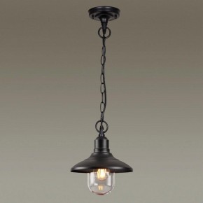 Подвесной светильник Odeon Light Campa 4965/1 в Заводоуковске - zavodoukovsk.mebel24.online | фото 2