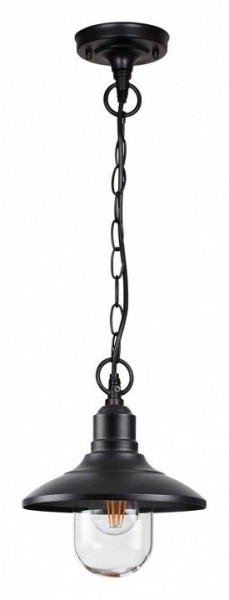 Подвесной светильник Odeon Light Campa 4965/1 в Заводоуковске - zavodoukovsk.mebel24.online | фото 3