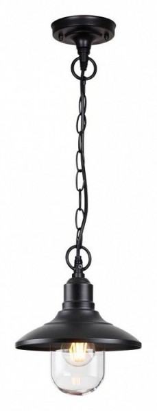 Подвесной светильник Odeon Light Campa 4965/1 в Заводоуковске - zavodoukovsk.mebel24.online | фото 4