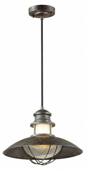 Подвесной светильник Odeon Light Dante 4164/1 в Заводоуковске - zavodoukovsk.mebel24.online | фото 2