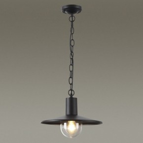 Подвесной светильник Odeon Light Furcadia 4833/1 в Заводоуковске - zavodoukovsk.mebel24.online | фото 3