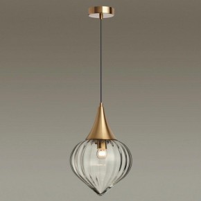 Подвесной светильник Odeon Light Kesta 4950/1 в Заводоуковске - zavodoukovsk.mebel24.online | фото 2