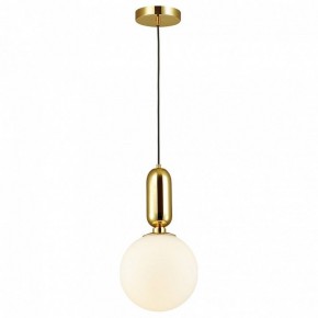 Подвесной светильник Odeon Light Okia 4669/1 в Заводоуковске - zavodoukovsk.mebel24.online | фото 2