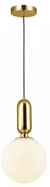 Подвесной светильник Odeon Light Okia 4669/1 в Заводоуковске - zavodoukovsk.mebel24.online | фото 3