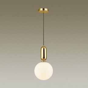 Подвесной светильник Odeon Light Okia 4669/1 в Заводоуковске - zavodoukovsk.mebel24.online | фото 4