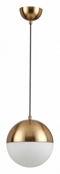Подвесной светильник Odeon Light Pinga 4960/1A в Заводоуковске - zavodoukovsk.mebel24.online | фото 3