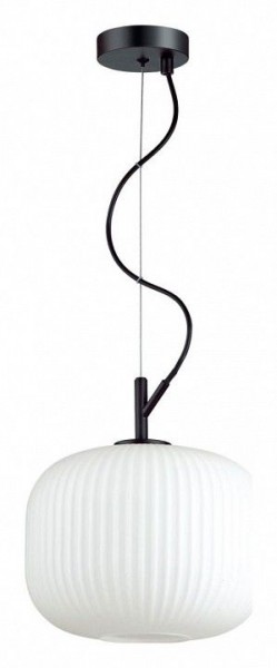 Подвесной светильник Odeon Light Roofi 4753/1 в Заводоуковске - zavodoukovsk.mebel24.online | фото 2
