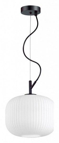 Подвесной светильник Odeon Light Roofi 4753/1 в Заводоуковске - zavodoukovsk.mebel24.online | фото 3