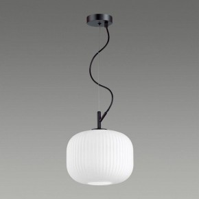 Подвесной светильник Odeon Light Roofi 4753/1 в Заводоуковске - zavodoukovsk.mebel24.online | фото 4