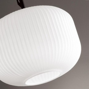 Подвесной светильник Odeon Light Roofi 4753/1 в Заводоуковске - zavodoukovsk.mebel24.online | фото 7