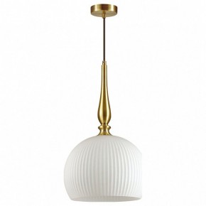 Подвесной светильник Odeon Light Runga 4765/1 в Заводоуковске - zavodoukovsk.mebel24.online | фото 2