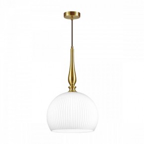 Подвесной светильник Odeon Light Runga 4765/1 в Заводоуковске - zavodoukovsk.mebel24.online | фото 3
