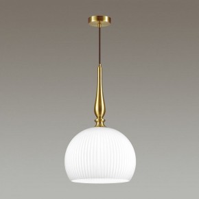 Подвесной светильник Odeon Light Runga 4765/1 в Заводоуковске - zavodoukovsk.mebel24.online | фото 4